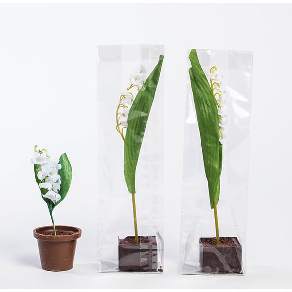 Muguet les delice de la closiere Muguet les delice de la closiere