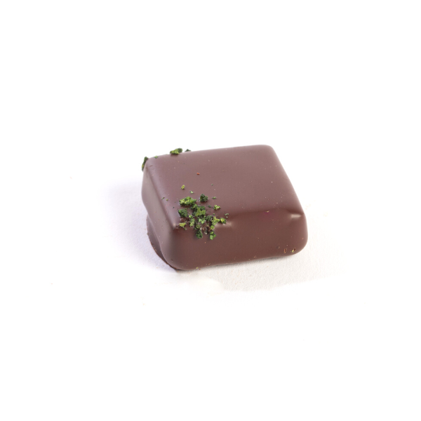 Chocolats the menthe les delices de la closiere